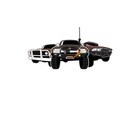 Kinselas kustoms